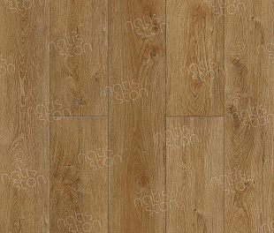 Изображение SPC ламинат Juv 5002-03